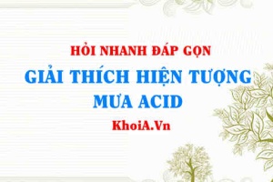 Nguyên nhân gây mưa Acid, giải thích hiện tượng mưa Acid (mới)? Hỏi đáp môn Hoá
